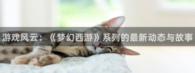 高德娱乐测速登陆：游戏风云：《梦幻西游》系列的最新动态与故事