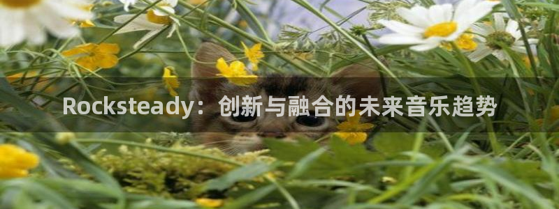 高德娱乐登陆测速：Rocksteady：创新与融合的未来音乐