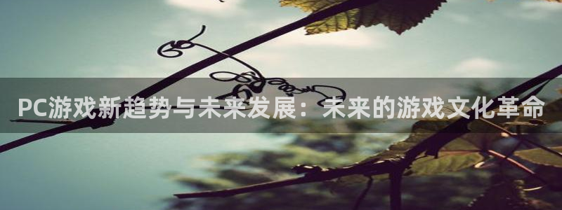 高德娱乐登陆：PC游戏新趋势与未来发展：未来的游戏文化革命