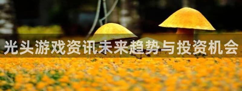 高德娱乐网页版地址：光头游戏资讯未来趋势与投资机会