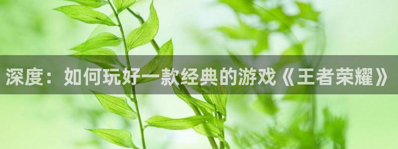高德娱乐网页登录入口：深度：如何玩好一款经典的游戏《王者荣耀