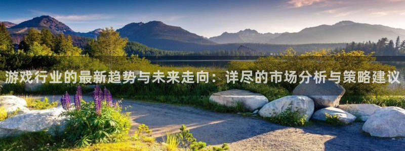 高德娱乐注册网站：游戏行业的最新趋势与未来走向：详尽的市场分