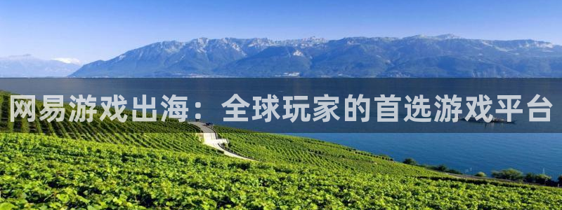 高德娱乐app下载地址：网易游戏出海：全球玩家的首选游戏平台