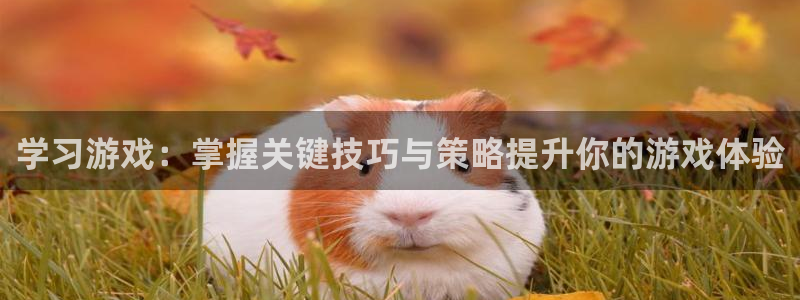 高德娱乐2登录：学习游戏：掌握关键技巧与策略提升你的游戏体验