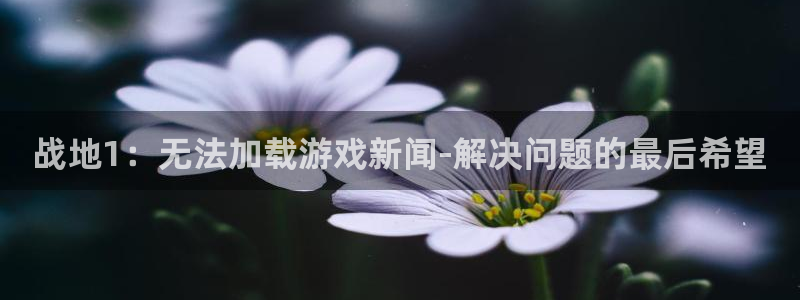 高德娱乐注册账号：战地1：无法加载游戏新闻-解决问题的最后希