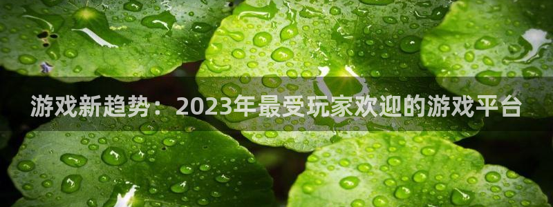 高德娱乐登录：游戏新趋势：2023年最受玩家欢迎的游戏平台