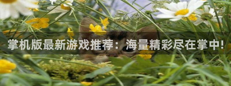 高德娱乐官方平台：掌机版最新游戏推荐：海量精彩尽在掌中!