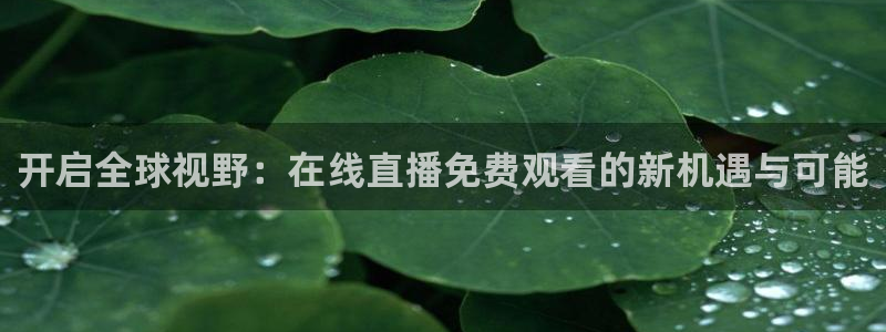 jrkan直播体育nba：开启全球视野：在线直播免费观看的新机遇与可能