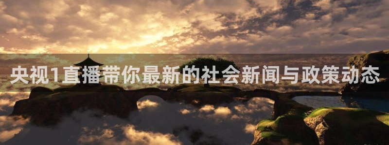 jrkan直播体育：央视1直播带你最新的社会新闻与政策动态