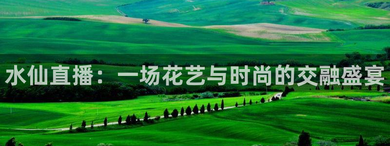 nba直播jrkan